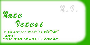 mate vetesi business card